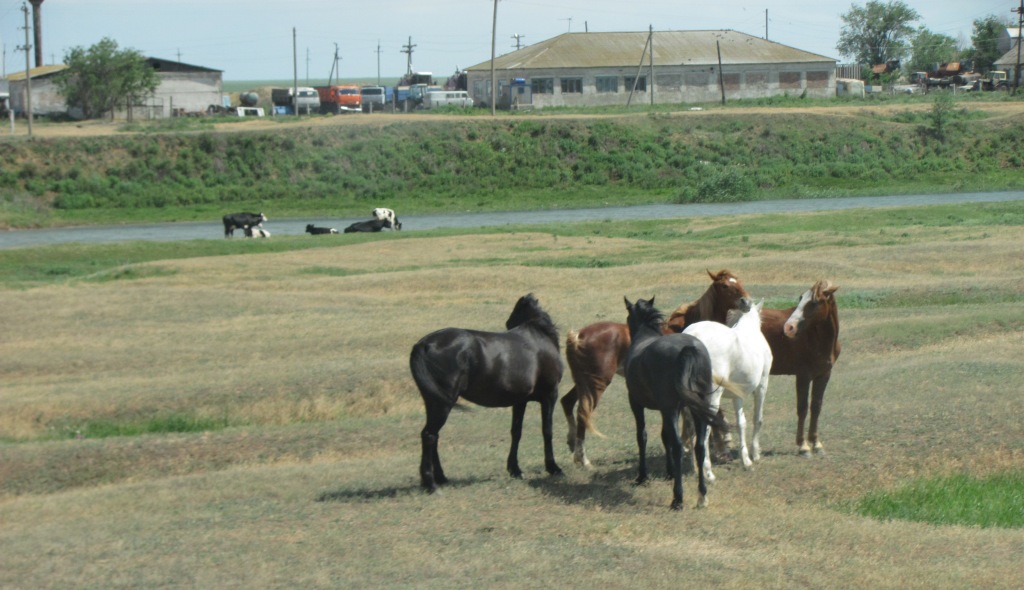 Зумеры отказываются от карьеры в столице ради комфорта в саратовской глубинке